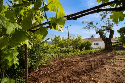 Quinta T2 para Venda em Mira de Aire