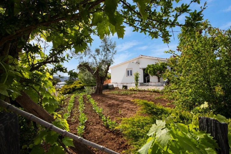 Quinta T2 para Venda em Mira de Aire Foto 26