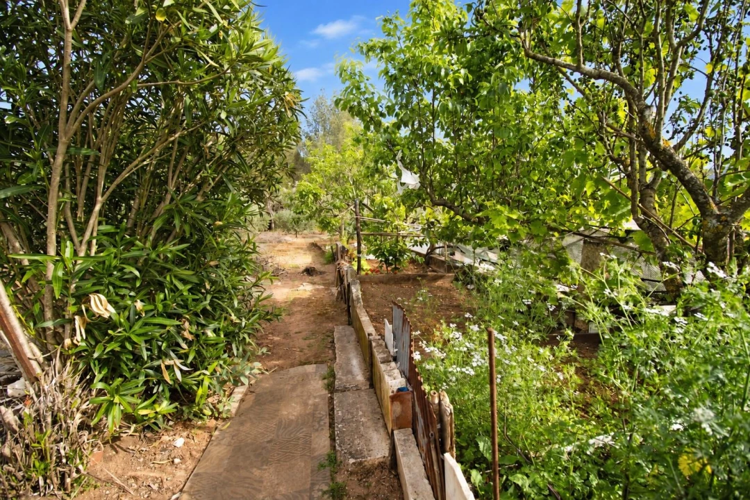 Quinta T2 para Venda em Mira de Aire Foto 34