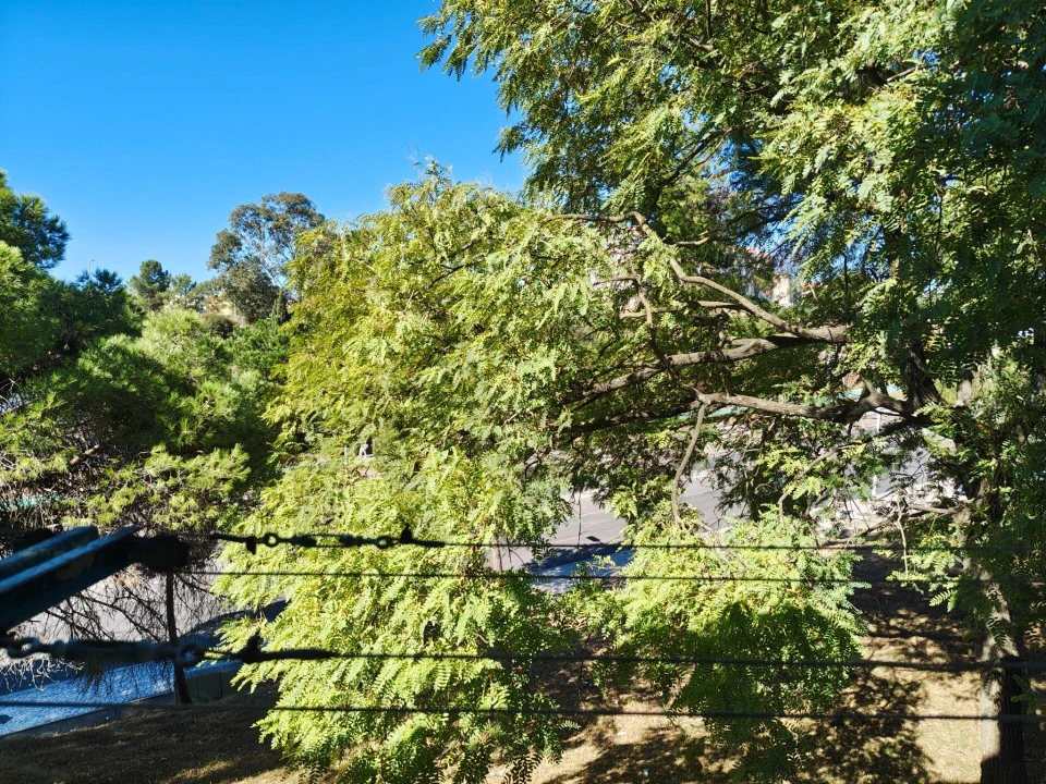 Apartamento T2 para Venda em Laranjeiro e Feijó Foto 22