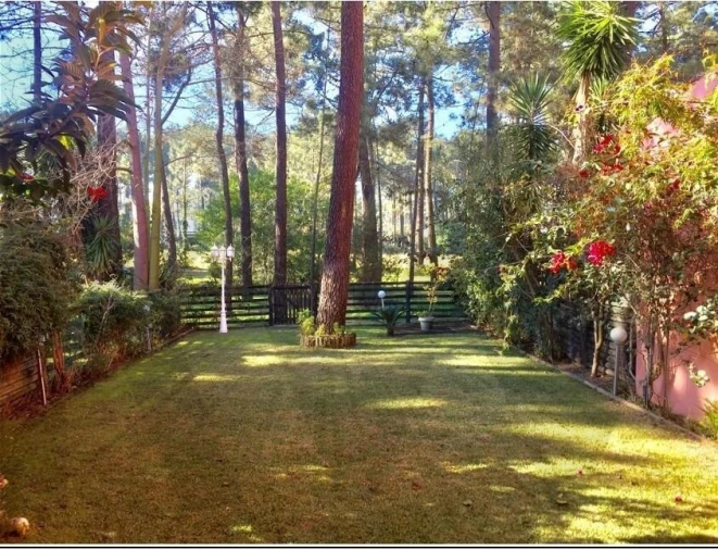 Apartamento T2 para Arrendamento em Charneca de Caparica e Sobreda Foto 4