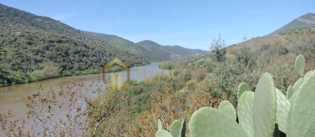 Quinta para Venda em Poiares