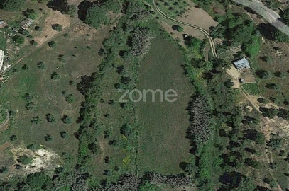 Terreno para Venda em Montargil