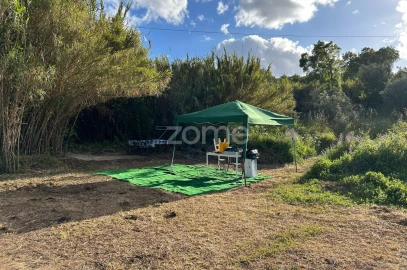 Terreno para Venda em Montargil