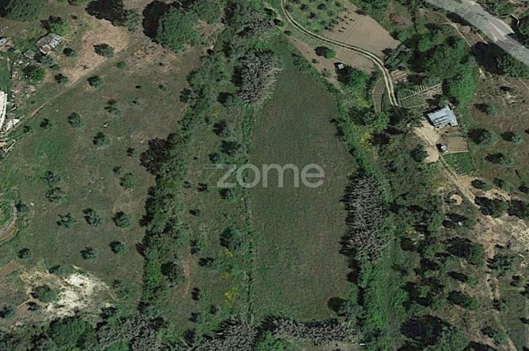Terreno para Venda em Montargil Foto 10
