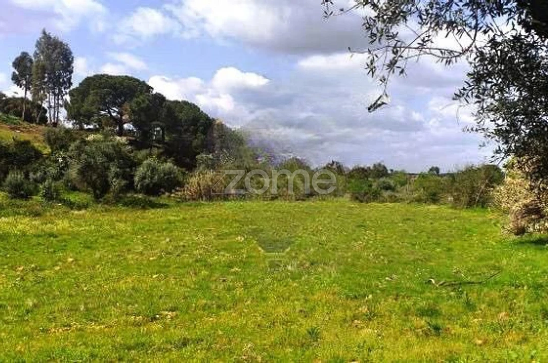 Terreno para Venda em Montargil Foto 2