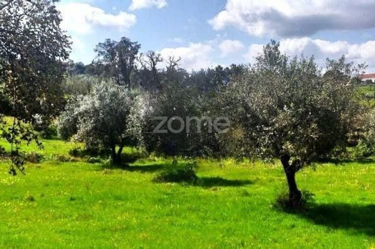 Terreno para Venda em Montargil Foto 3