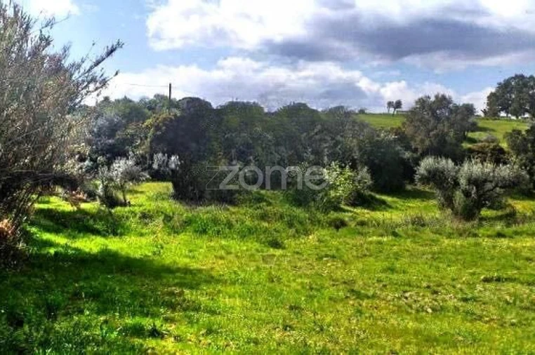 Terreno para Venda em Montargil Foto 4