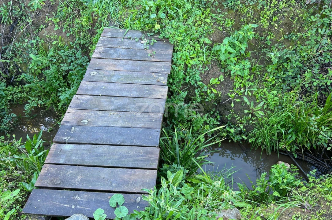 Terreno para Venda em Montargil Foto 5
