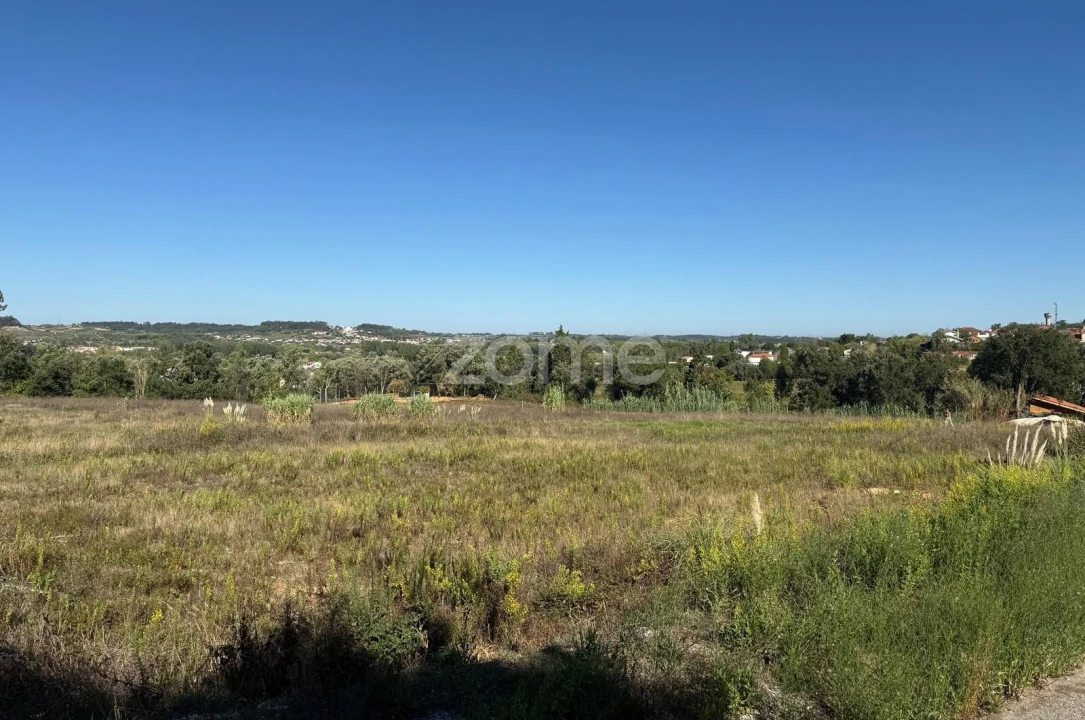 Terreno para Venda em Sangalhos Foto 6