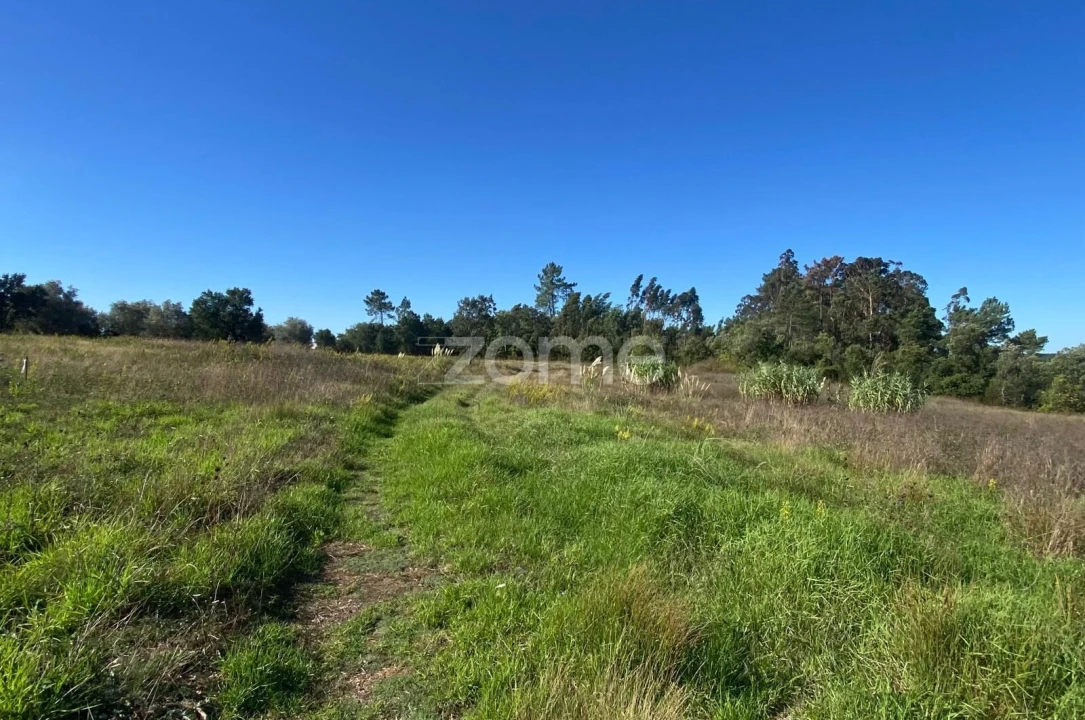 Terreno para Venda em Sangalhos Foto 16