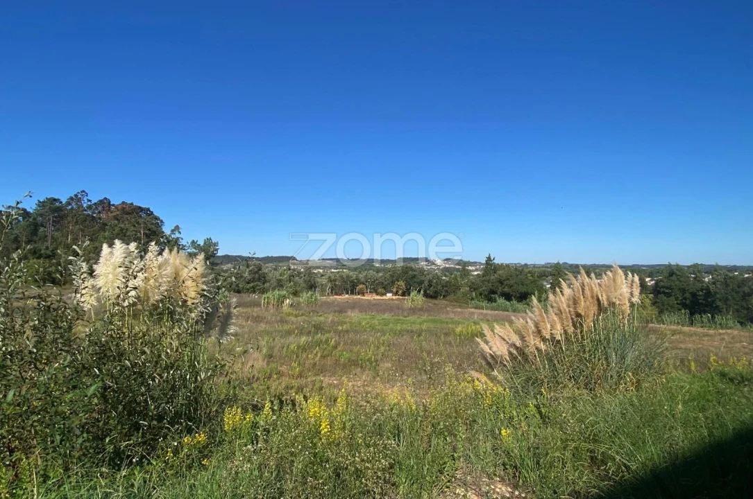 Terreno para Venda em Sangalhos Foto 17