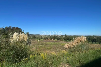 Terreno para Venda em Sangalhos