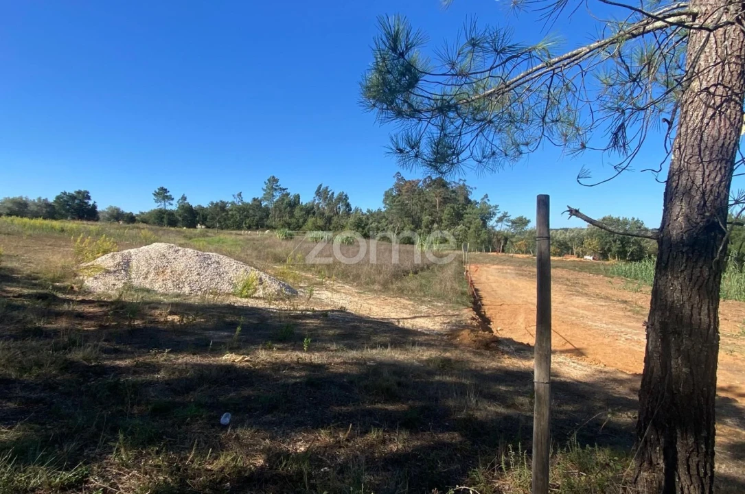 Terreno para Venda em Sangalhos Foto 14