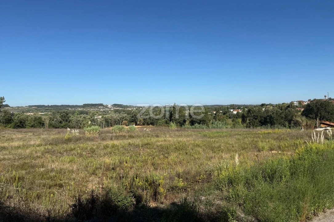 Terreno para Venda em Sangalhos Foto 8