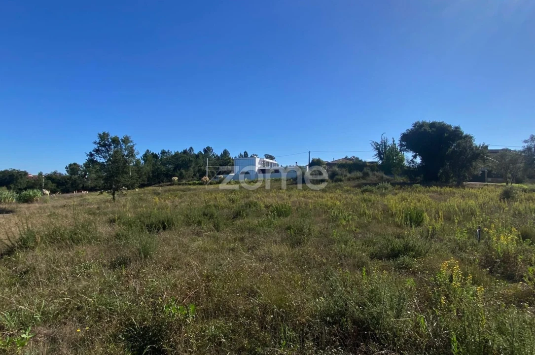 Terreno para Venda em Sangalhos Foto 15