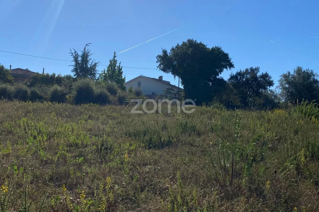 Terreno para Venda em Sangalhos Foto 18