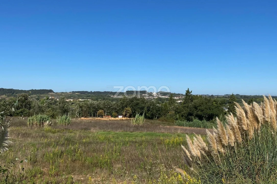 Terreno para Venda em Sangalhos Foto 21