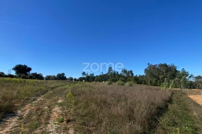 Terreno para Venda em Sangalhos