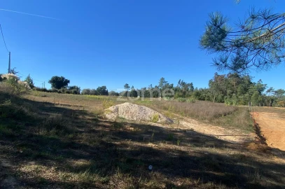 Terreno para Venda em Sangalhos