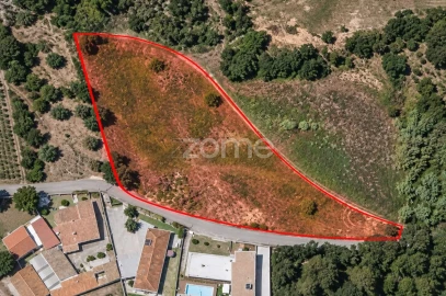 Terreno para Venda em Sangalhos
