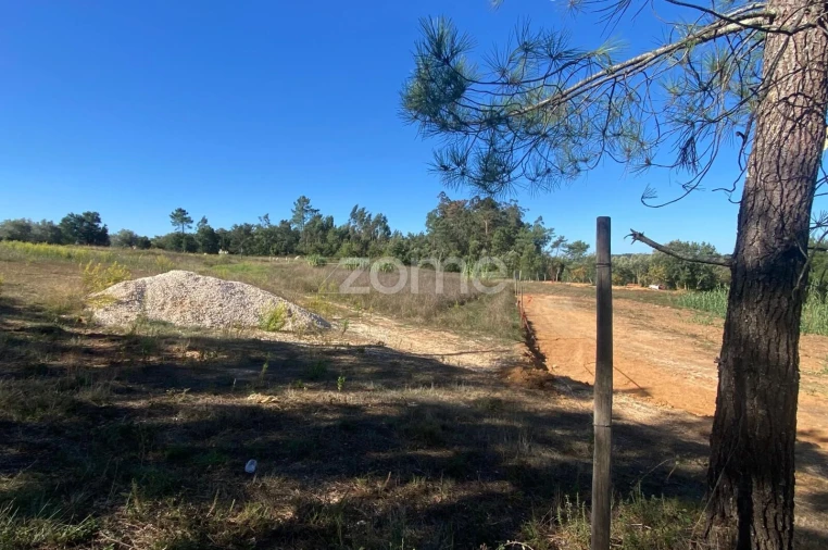 Terreno para Venda em Sangalhos Foto 14