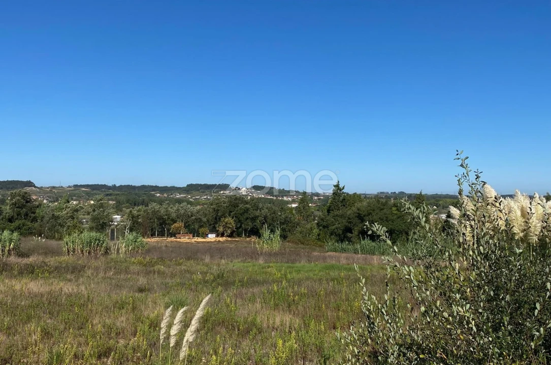 Terreno para Venda em Sangalhos Foto 23