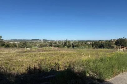 Terreno para Venda em Sangalhos