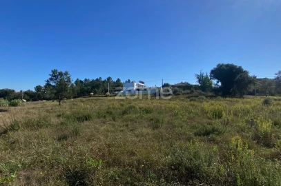Terreno para Venda em Sangalhos