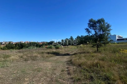 Terreno para Venda em Sangalhos