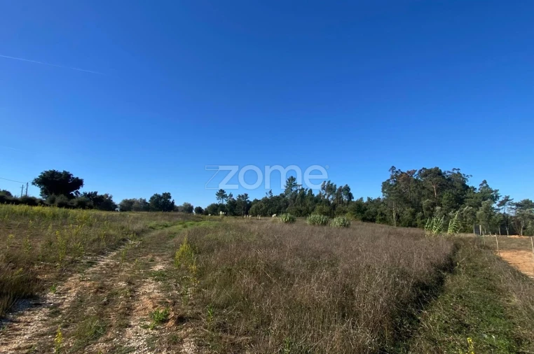 Terreno para Venda em Sangalhos Foto 21