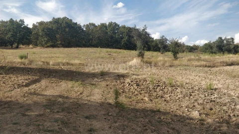 Quinta T0 para Venda em Teixoso e Sarzedo