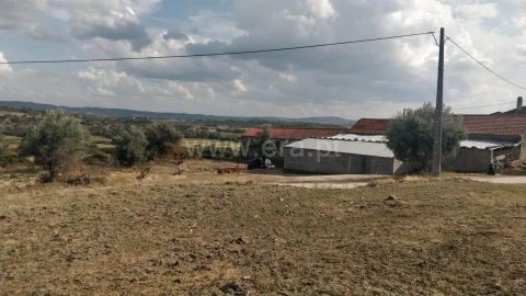 Quinta T0 para Venda em Teixoso e Sarzedo