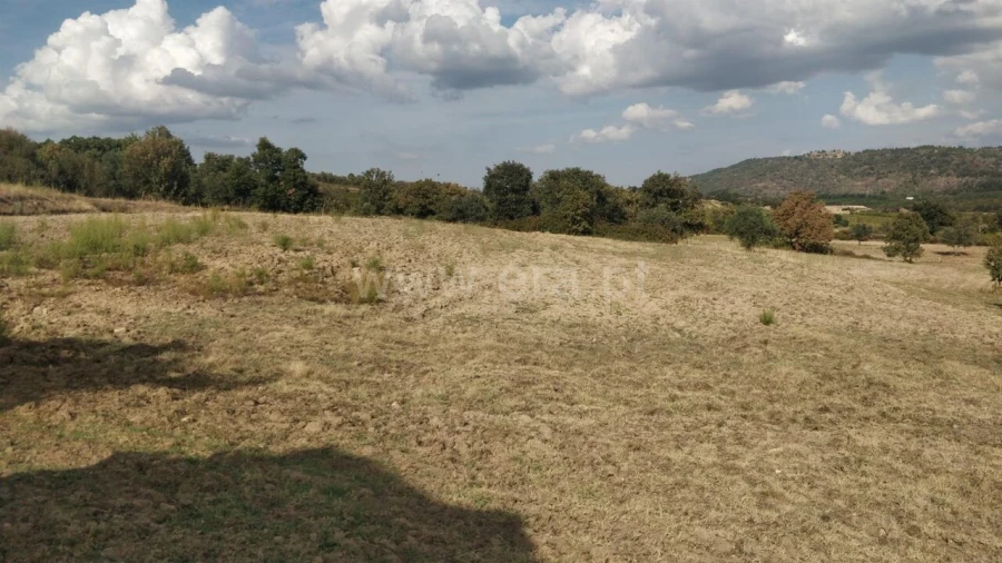 Quinta T0 para Venda em Teixoso e Sarzedo Foto 13