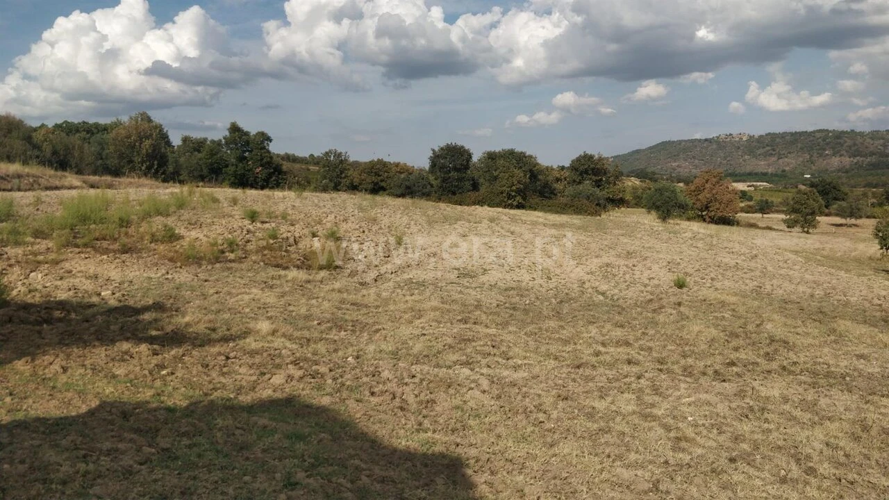Quinta T0 para Venda em Teixoso e Sarzedo Foto 13