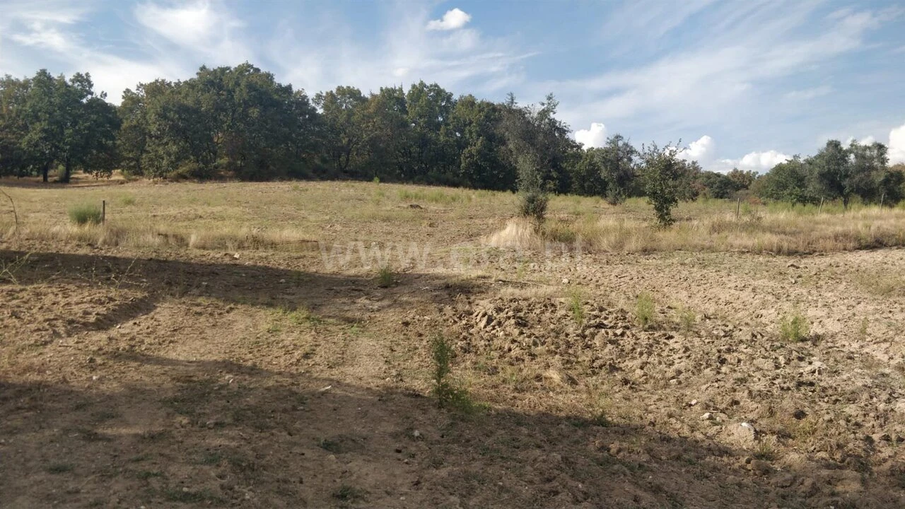 Quinta T0 para Venda em Teixoso e Sarzedo Foto 6