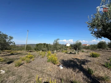Terreno Misto para Venda em Atouguia