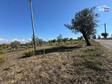 Terreno Misto para Venda em Atouguia