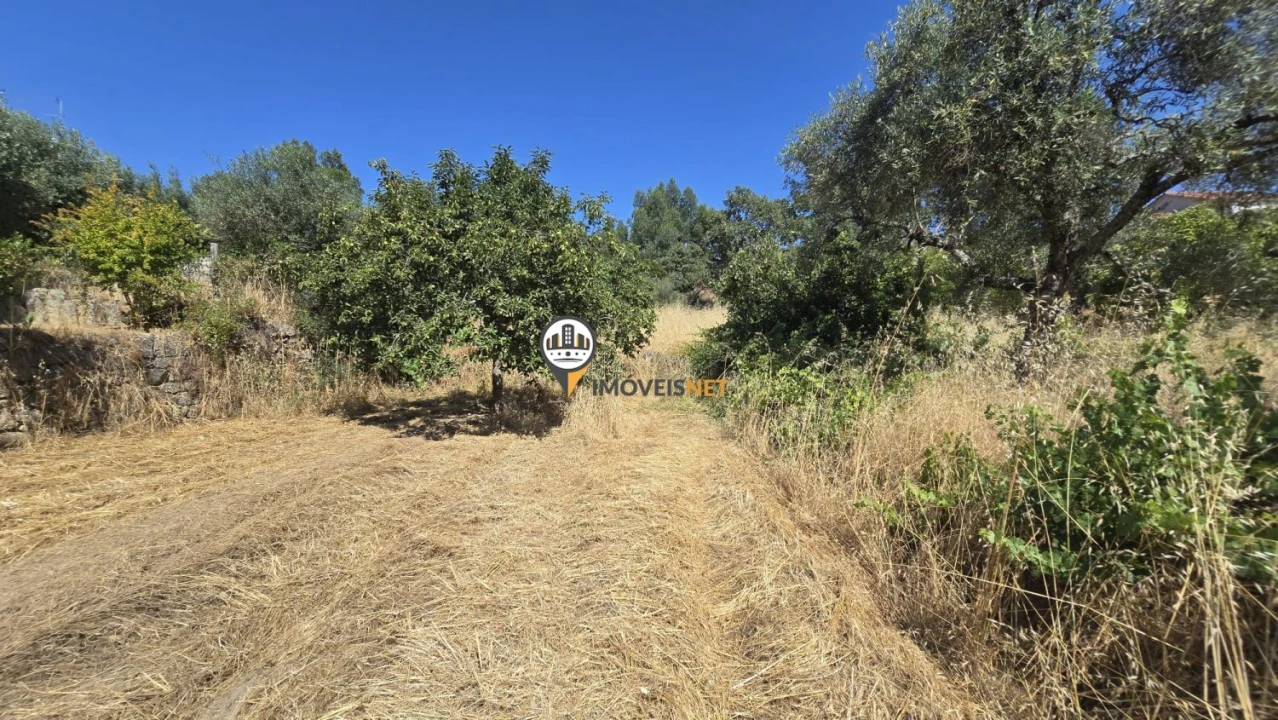 Terreno para Venda em Aldeia do Bispo, Águas e Aldeia de João Pires Foto 26