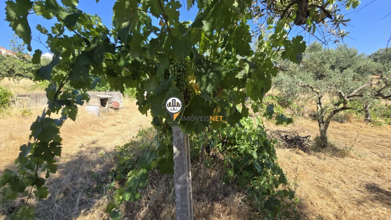 Terreno para Venda em Aldeia do Bispo, Águas e Aldeia de João Pires Foto 11