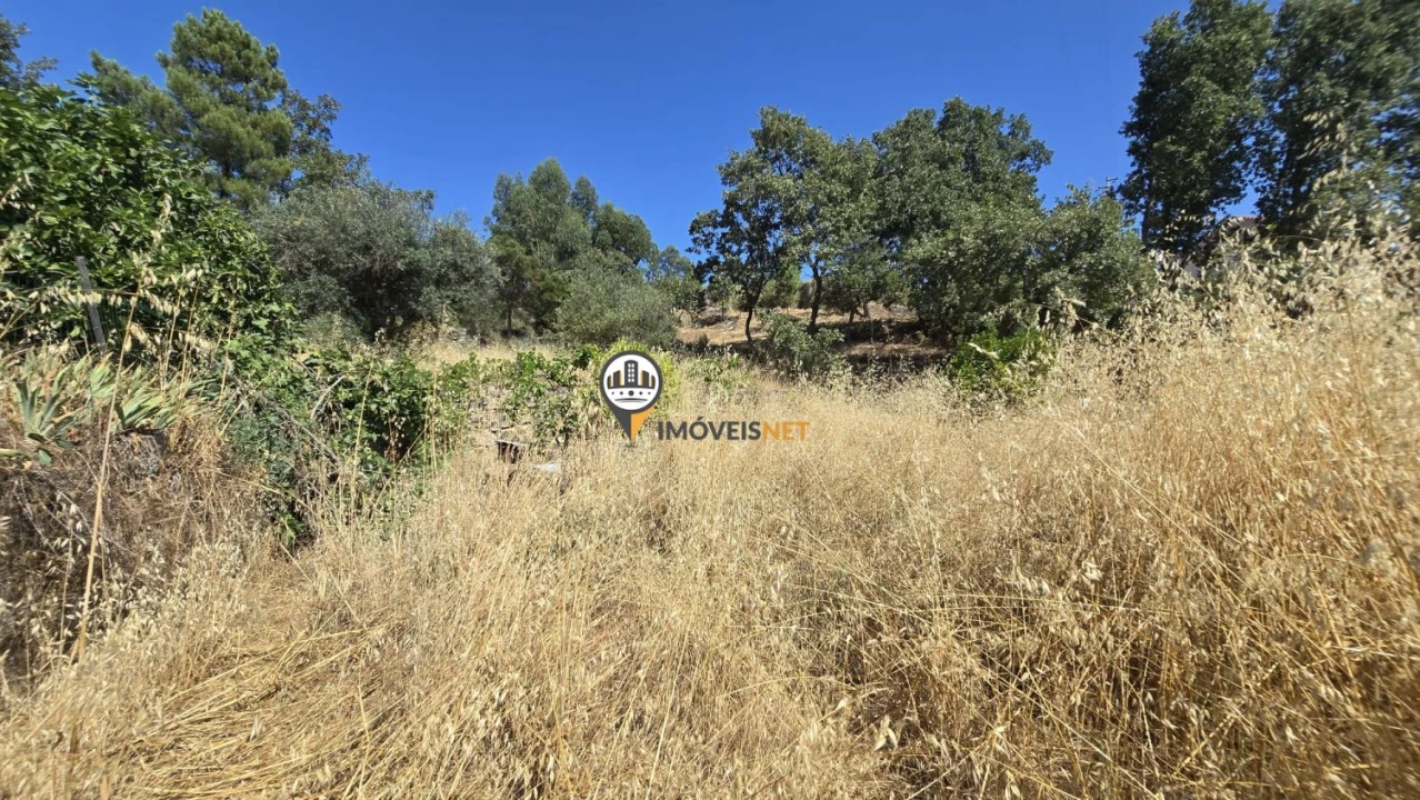 Terreno para Venda em Aldeia do Bispo, Águas e Aldeia de João Pires Foto 23
