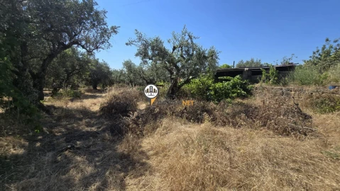 Terreno para Venda em Aldeia do Bispo, Águas e Aldeia de João Pires