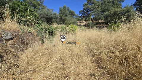 Terreno para Venda em Aldeia do Bispo, Águas e Aldeia de João Pires