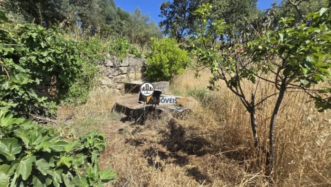 Terreno para Venda em Aldeia do Bispo, Águas e Aldeia de João Pires
