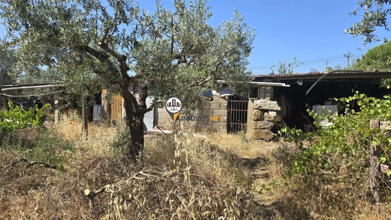 Terreno para Venda em Aldeia do Bispo, Águas e Aldeia de João Pires Foto 29