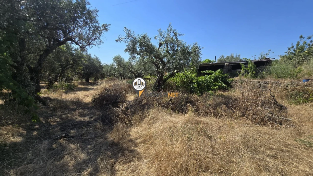 Terreno para Venda em Aldeia do Bispo, Águas e Aldeia de João Pires Foto 12