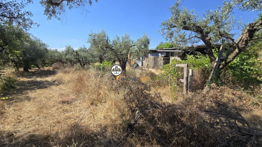Terreno para Venda em Aldeia do Bispo, Águas e Aldeia de João Pires Foto 8