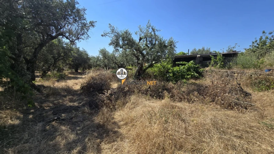 Terreno para Venda em Aldeia do Bispo, Águas e Aldeia de João Pires Foto 12