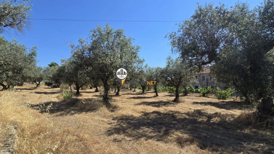 Terreno para Venda em Aldeia do Bispo, Águas e Aldeia de João Pires Foto 46