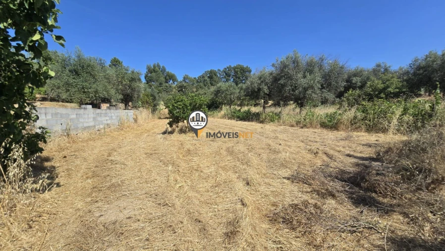 Terreno para Venda em Aldeia do Bispo, Águas e Aldeia de João Pires Foto 22
